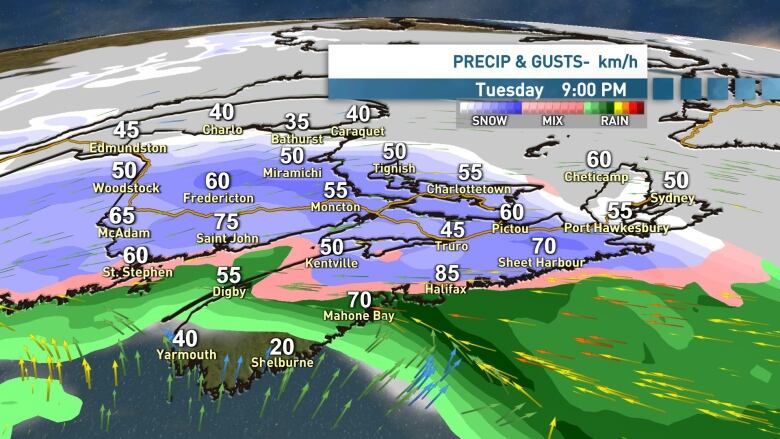 A map shows the expected wind speeds and precipitation.