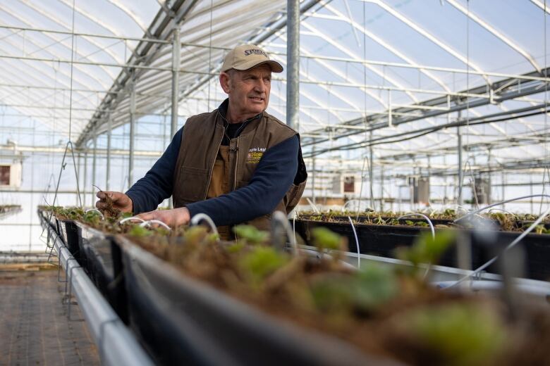 A man in a ballcap stands by a tray of plants.