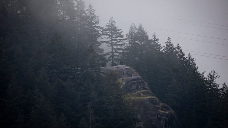 Two silhouetted figures stand atop a large rock in a forest amid rainy and windy conditions.