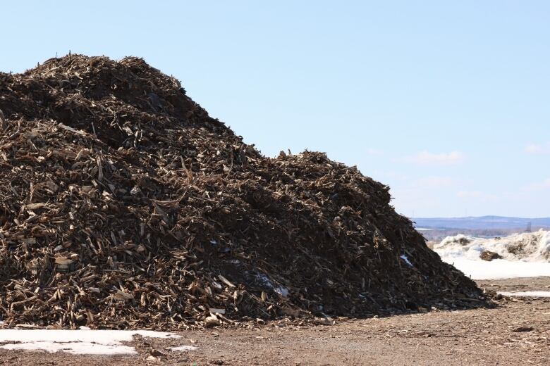 CBRM officials have shredded about a third of the damaged trees they've received following post-tropical storm Fiona. 