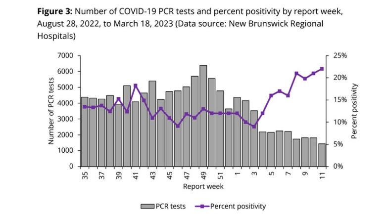 A chart with grey bars illustrating PCR tests and a purple line illustrating percent positivity between Aug. 28, 2022, and March 18, 2023.