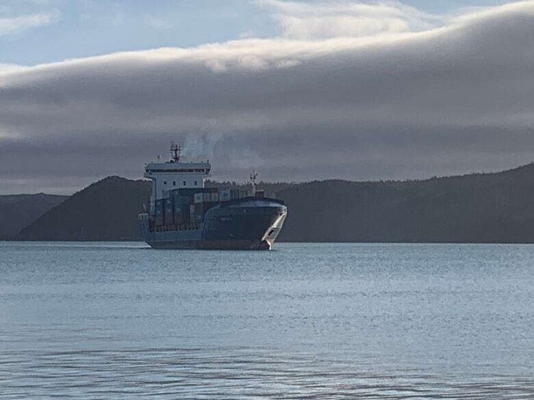 A cargo ship is pictured in the distance, approaching the harbour.