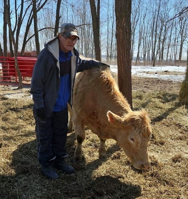 A man stands in a farmer's field, beside a golden-coloured cow who doesn't seem interested in posing for this photo.