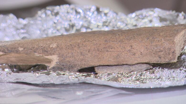 A piece of 8000 year old bone in an aluminum foil.