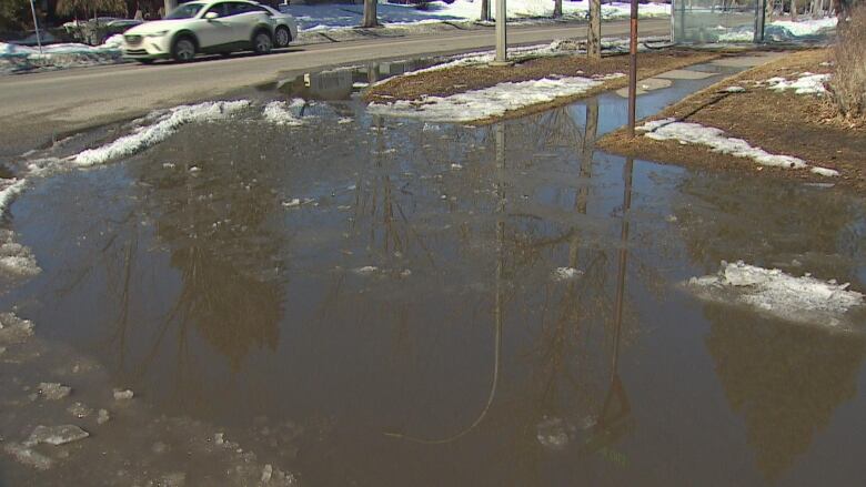 A large pool of water covers a sidewalk.