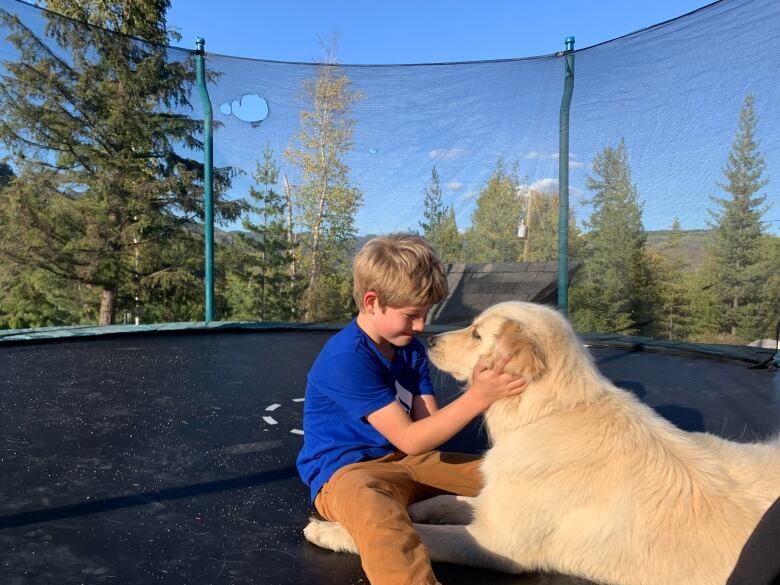 A boy pets a dog.