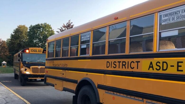 Two buses in a driveway