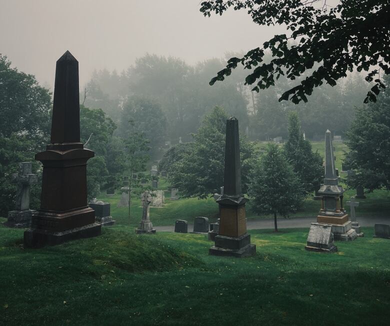 A foggy cemetery on a hill with tree hanging over the graves