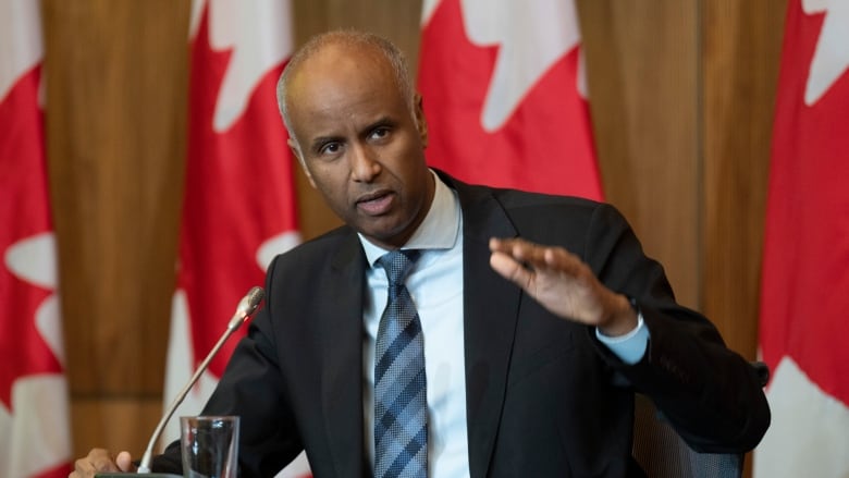 A man in a suit is seated behind a microphone and in front of a row of Canadian flags.