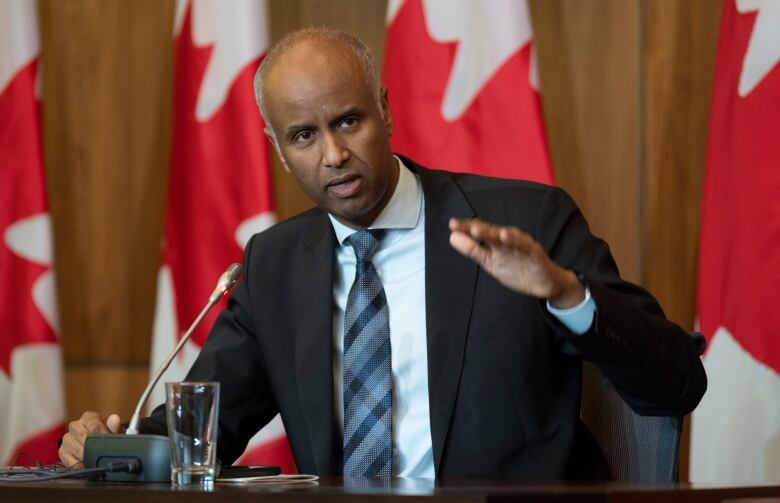 A man in a suit is seated behind a microphone and in front of a row of Canadian flags.