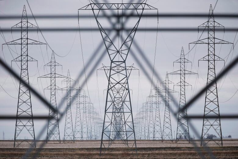 Hydro power lines are shown just outside Winnipeg, Monday, May 1, 2018. Newly released documents say the federal agency created to finance new infrastructure - and alleviate the burden off the public purse - was not supposed to get involved in projects to expand or enhance existing public electricity grids.