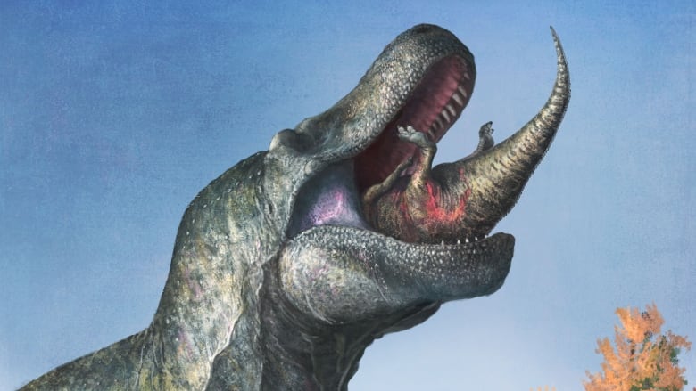 An illustration shows a juvenile Edmontosaurus disappears into the enormous, lipped mouth of Tyrannosaurus.