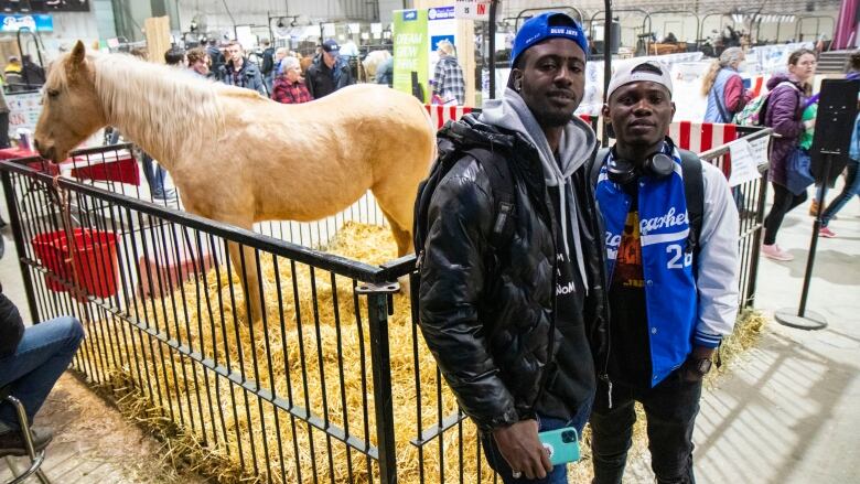 Two men stand in front of a horse in a stall.