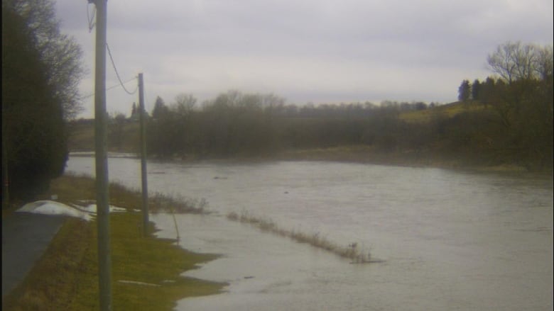 High river levels on a small river in Ontario. Green banks.