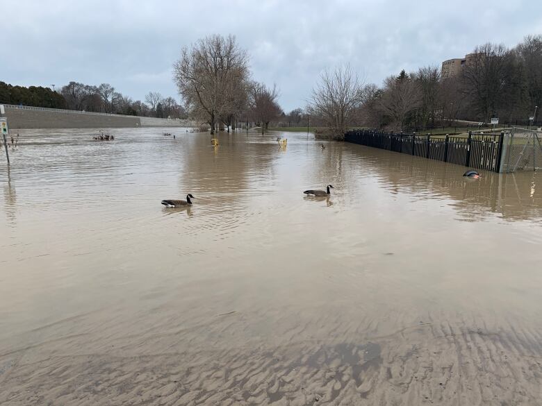 river levels rise and flood into park 