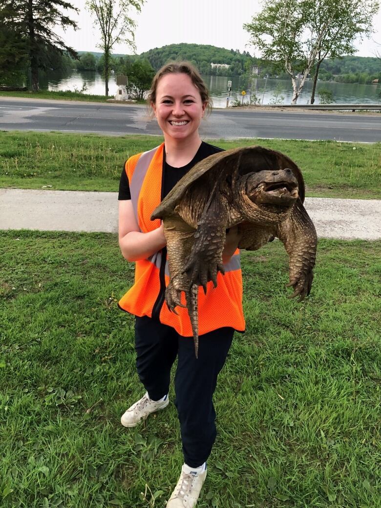 Grace the turtle known to Haliburton County