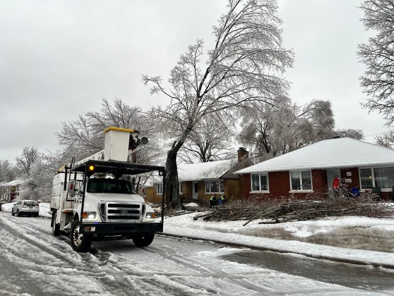 An ice-covered tree with several branches on a snow-covered lawn and a truck on a residential street.