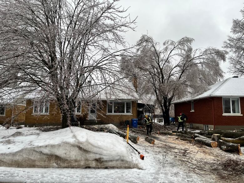 Crews clear away branches covered in ice from in front of a home.