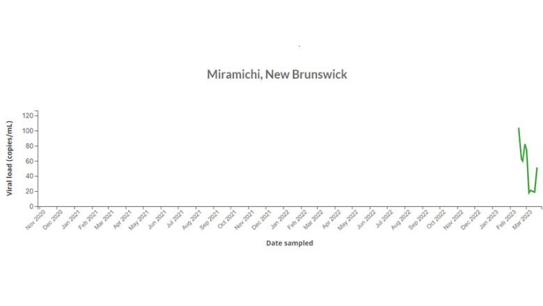 A line graph showing the COVID-19 viral load for Miramichi for dates sampled between Feb. 16 and March 20 in green, with a recent spike.