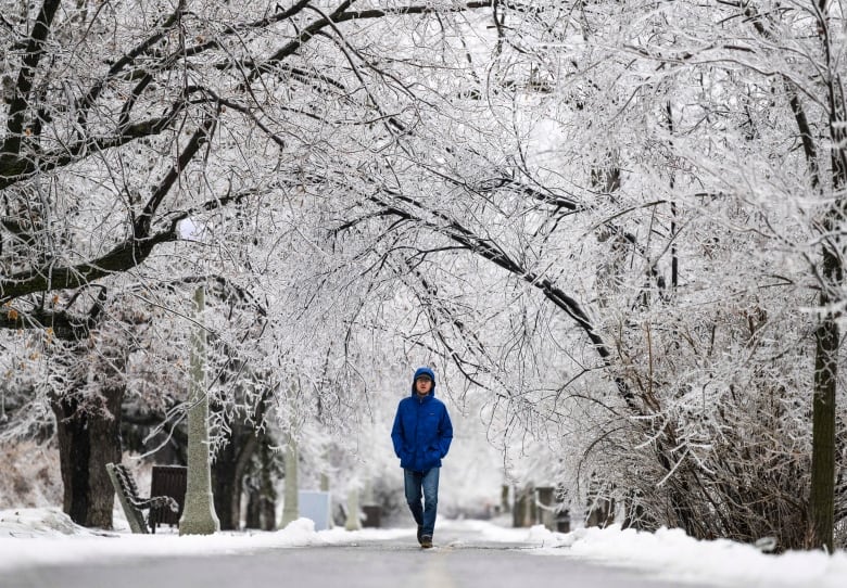 A man walks along a path under ice-encrusted trees.