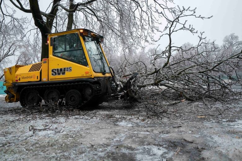 city truck picking up branches