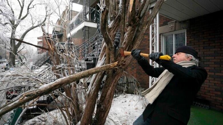 A man takes to a tree with an axe.