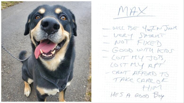 Max was left in the Davenport area on Monday with a note saying the owner could no longer take care of him.