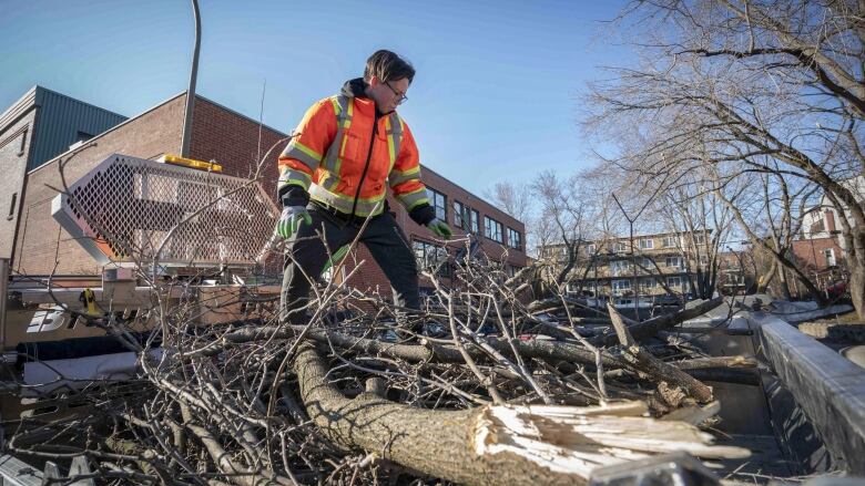 Man cleans up branches. 