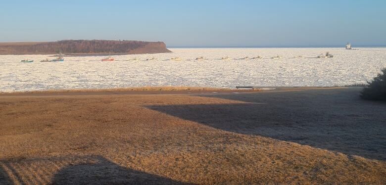 A line of boats tries to make its way through ice in a harbour.