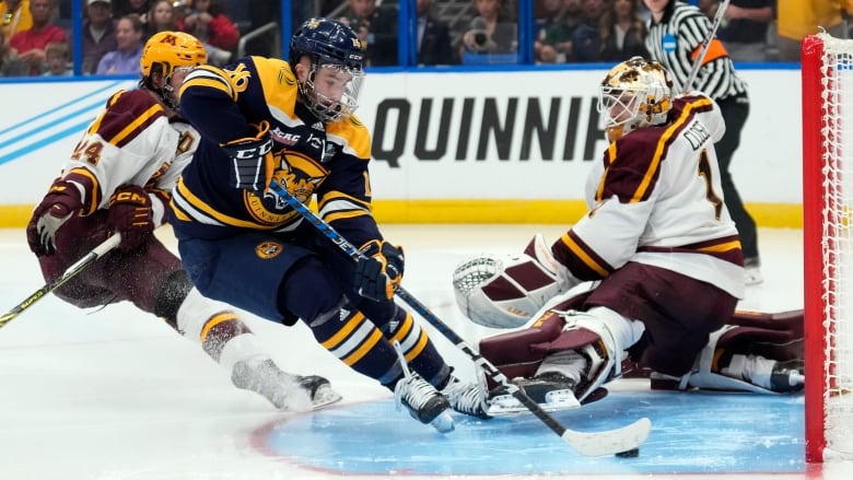 A hockey player scores on a wide-open net.