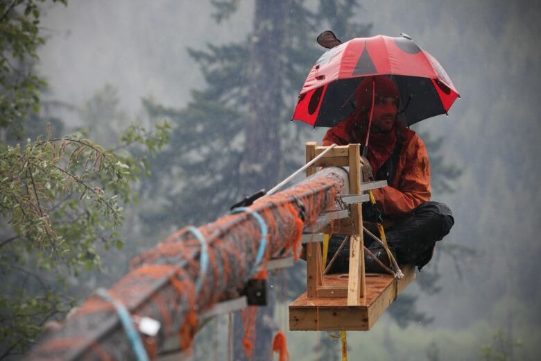 A protester is seen in a forest, cantilevered over a creek at the end of a sailboat mast being held down with a car parked on one end.