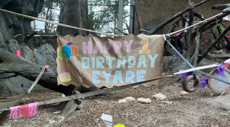 A close-up of a birthday banner at Eyare's birthday party in Calgary zoo.