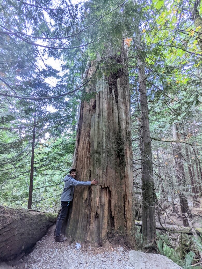 A man hugging a big tree.