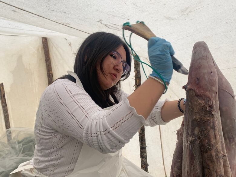 A young girl holds a piece of antler turned into a scraper against a piece of red bloody caribou hide. 