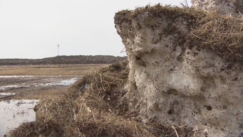 A pile of dirty snow slowly melts at the City of Regina snow storage facility.