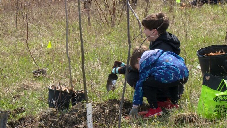 Two kids plant a tree