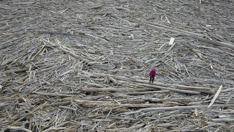 An aerial shot of tiny person in a pink coat standing on a massive pile of driftwood.