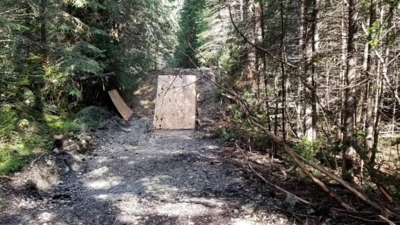 An illegal bike jump is pictured in Yoho National Park. A man was recently fined more than $20,000 in fines and restitution for building the structure while he was working with CP Rail.