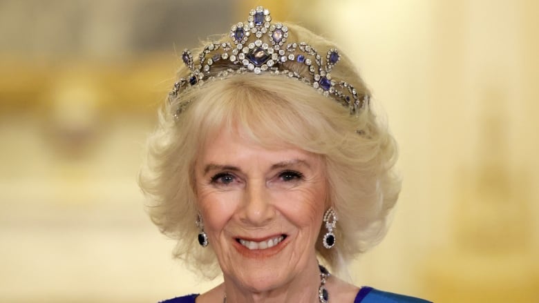 Camilla, Queen Consort attends the State Banquet in honour of President of South Africa, Cyril Ramaphosa at Buckingham Palace on November 22, 2022 in London.