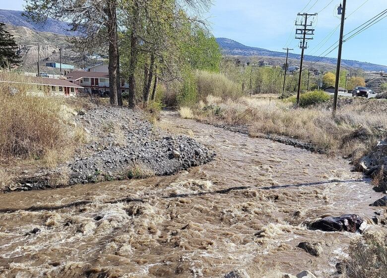 Flood water in a river along with grassy banks.