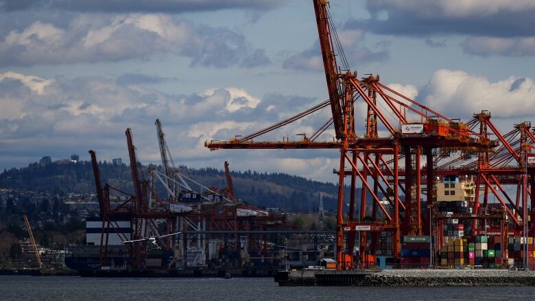 A seaplane prepares to land on the harbour as gantry cranes used to load and unload cargo containers are seen at port.