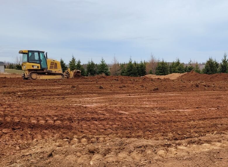 Bulldozer clearing land on P.E.I.