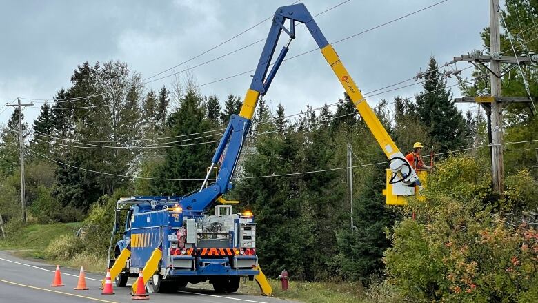 Maritime electric crew working on power lines next to trees