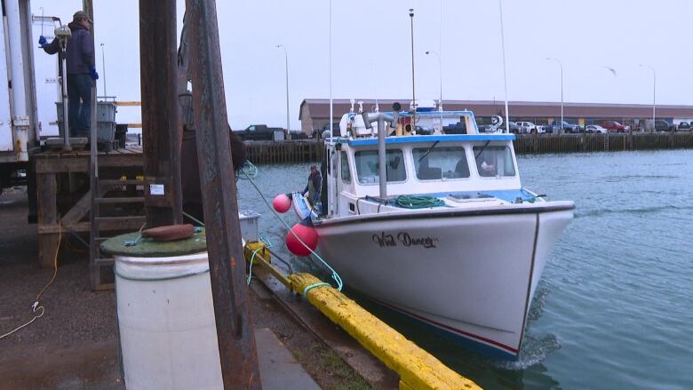 A fishing boat in the harbour