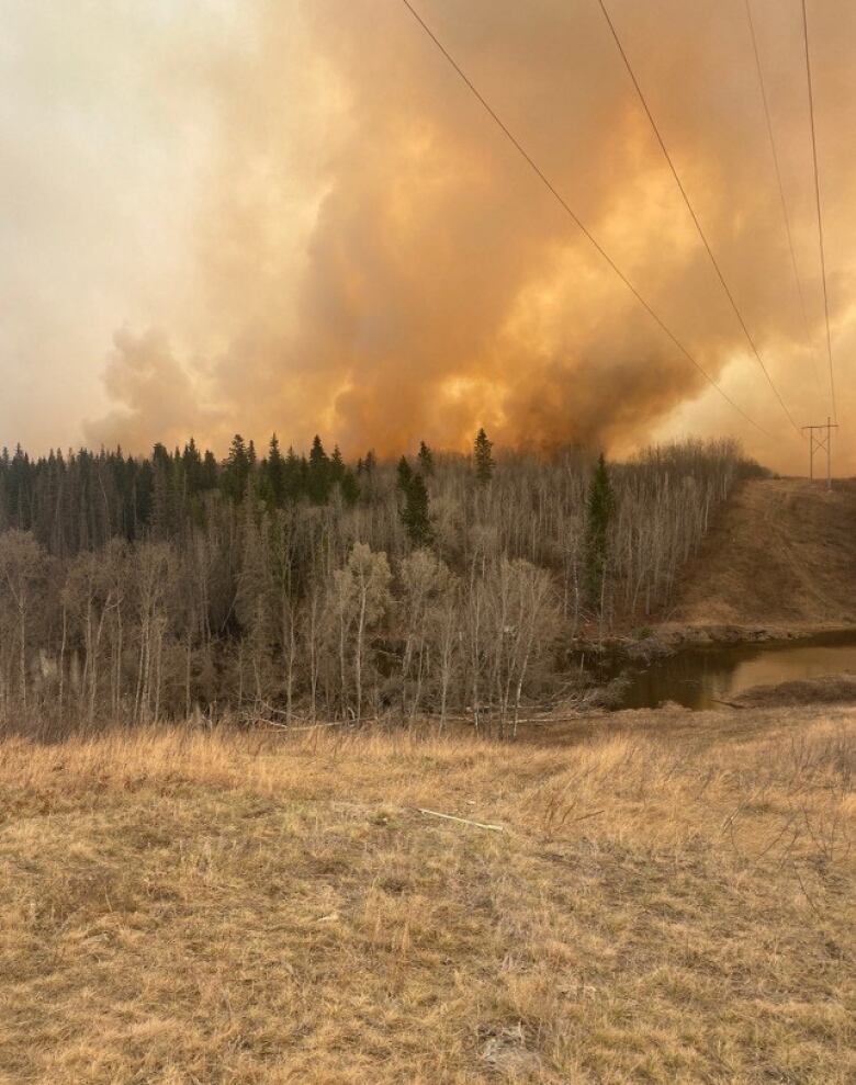 Smoke emerging from a forest