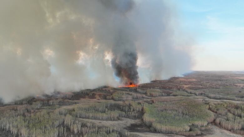 Large wildfire burning in the woods. 