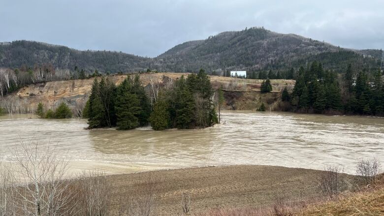 Flood waters surround trees on a property