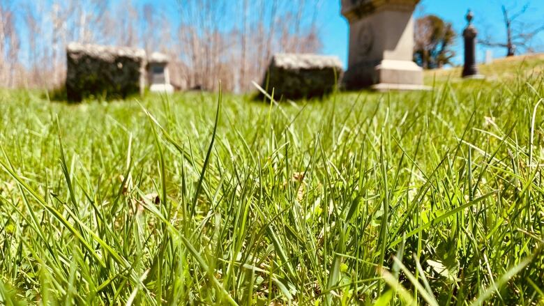 Close up image of blades of grass in foreground with blurry gravestones in background.