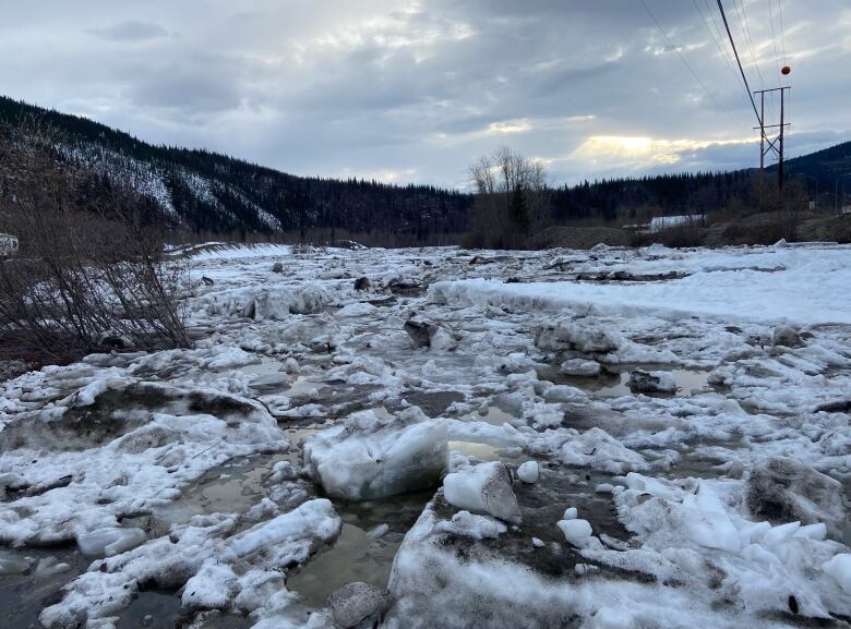 blocks of ice