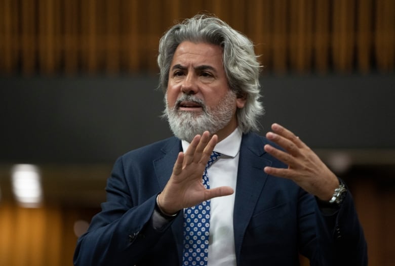 Canadian Heritage Minister Pablo Rodriguez rises during question period